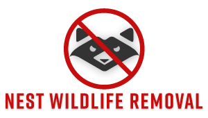 Nest Wildlife Removal Services in Baltimore MD